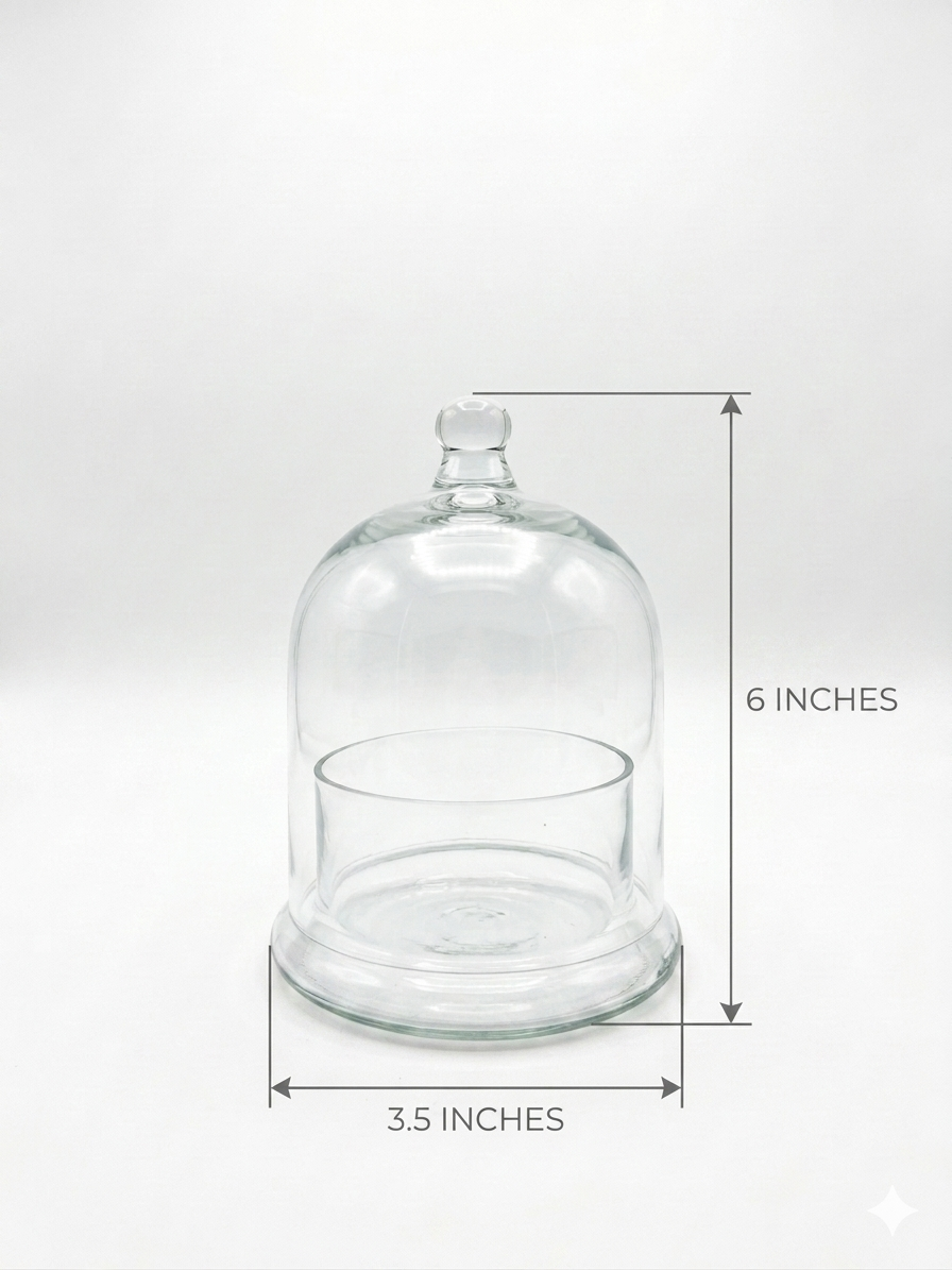 Bell Jar- Container