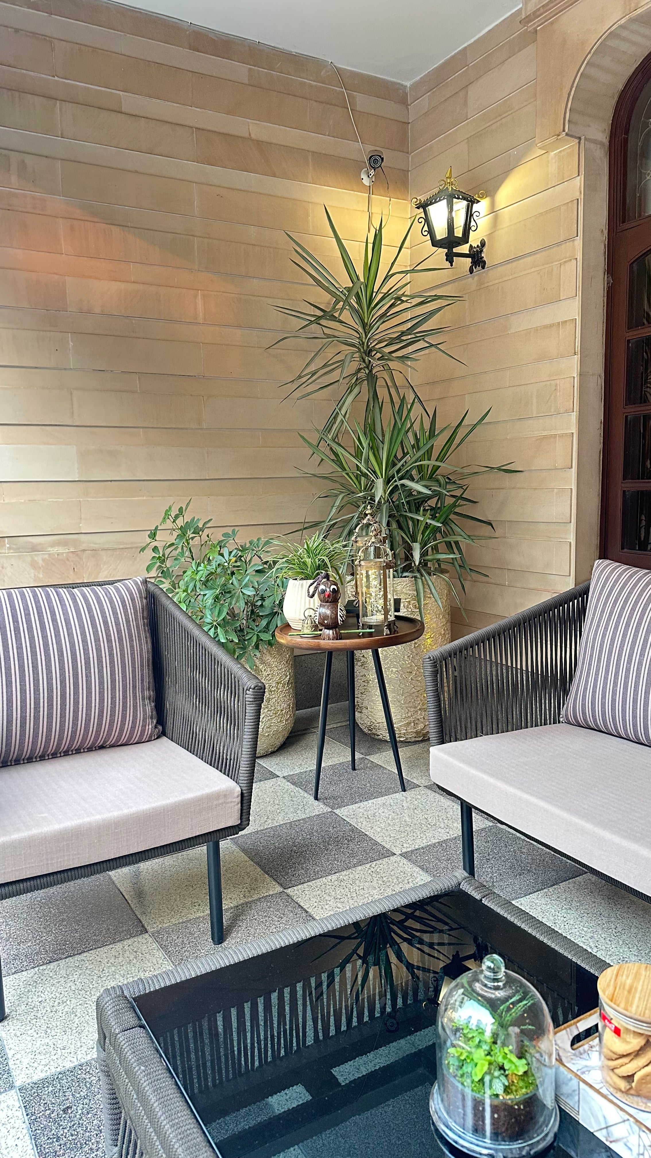 Best plants for indoors