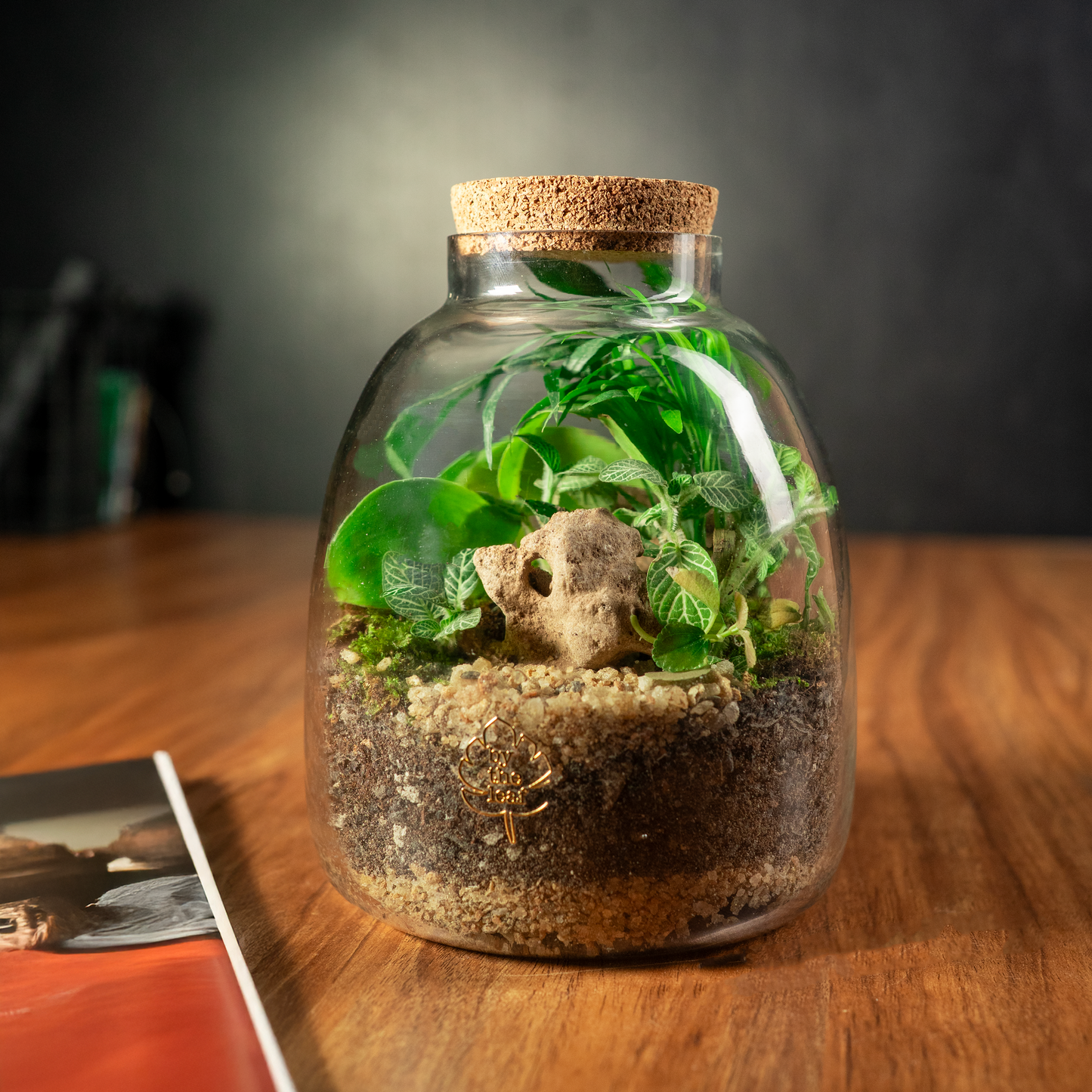 Into The Lush Terrarium