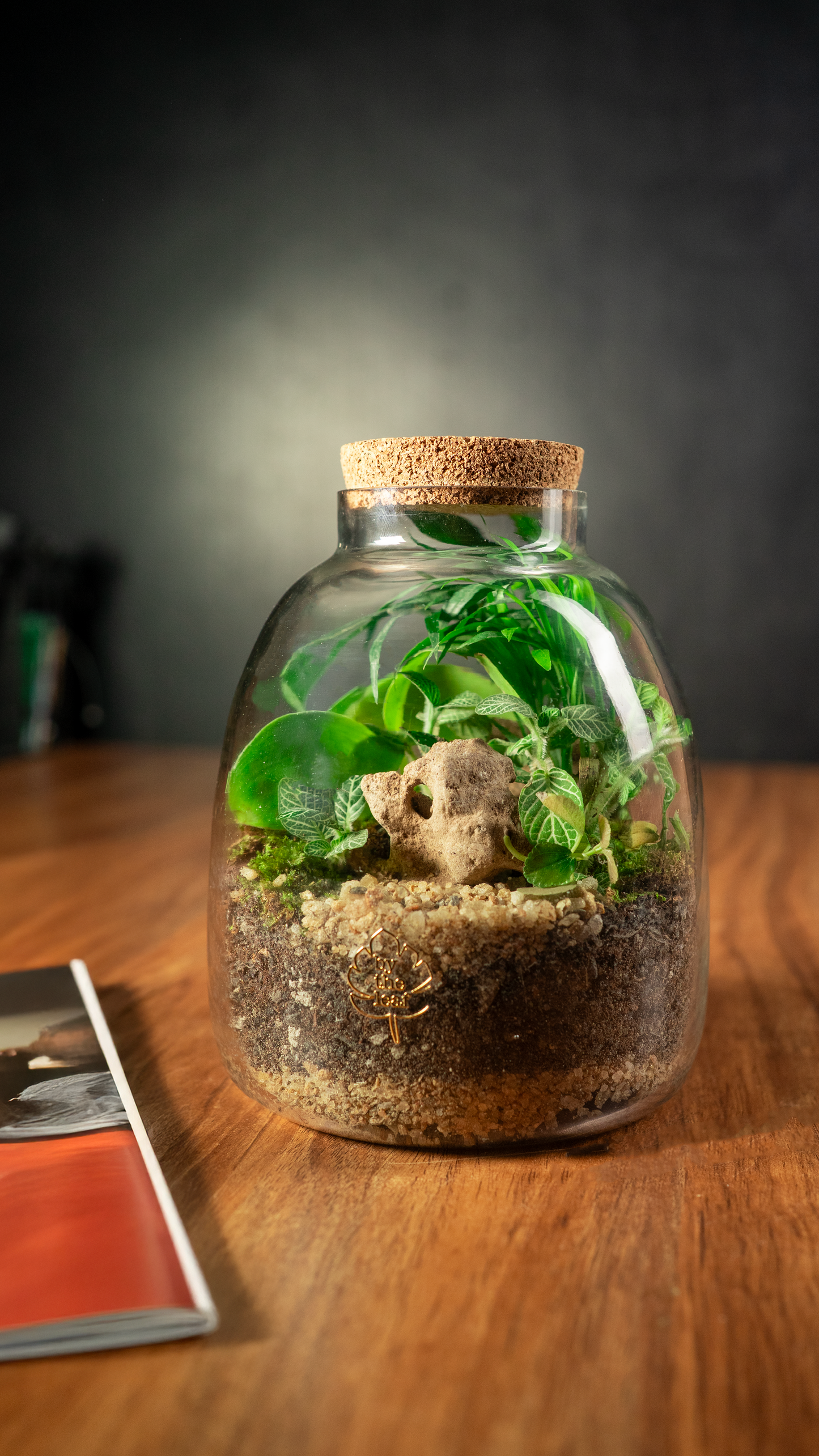 Into The Lush Terrarium