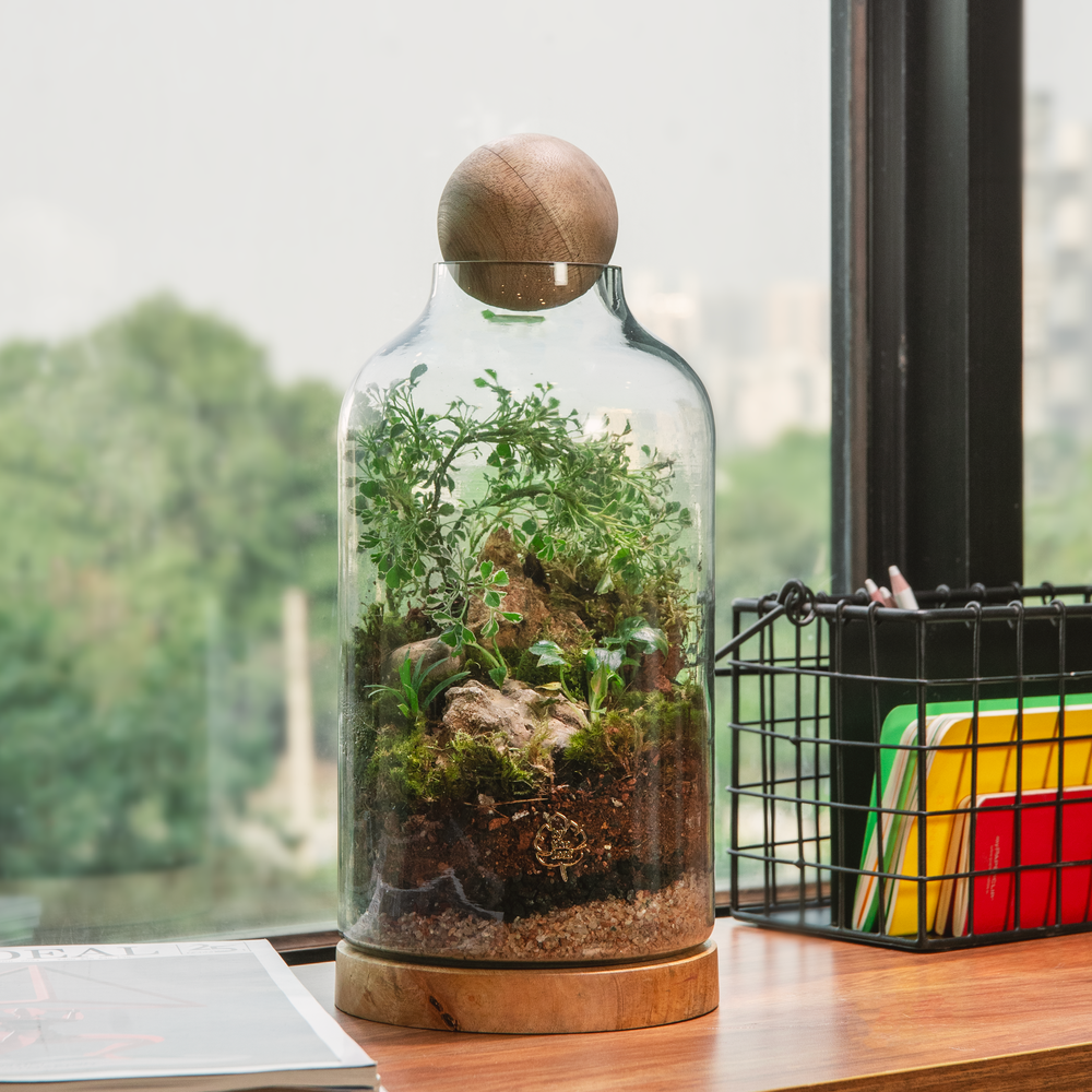 By The Tree Terrarium