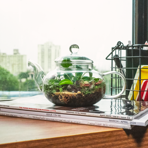 The Teapot Terrarium