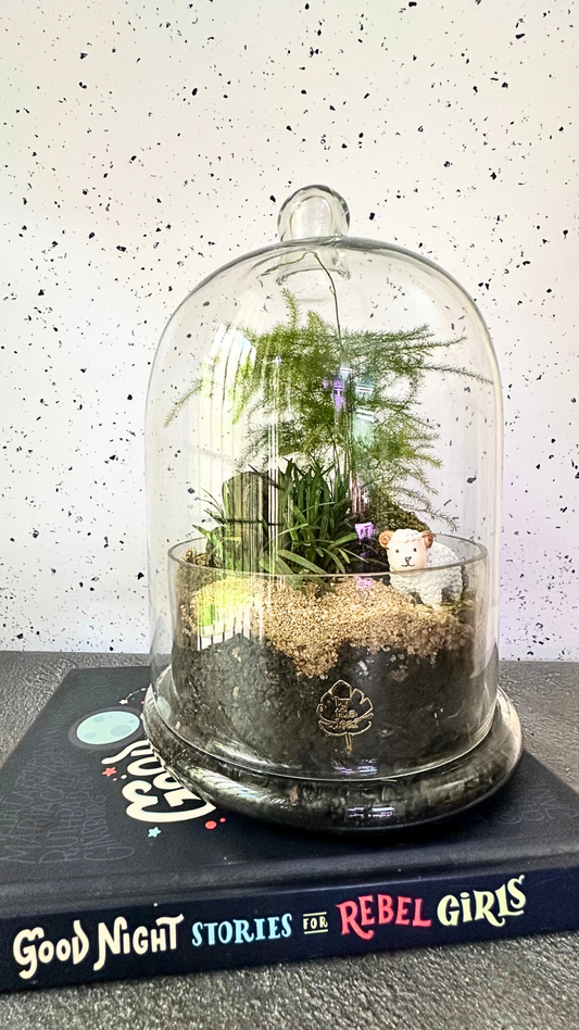 Nature theme decor terrarium
