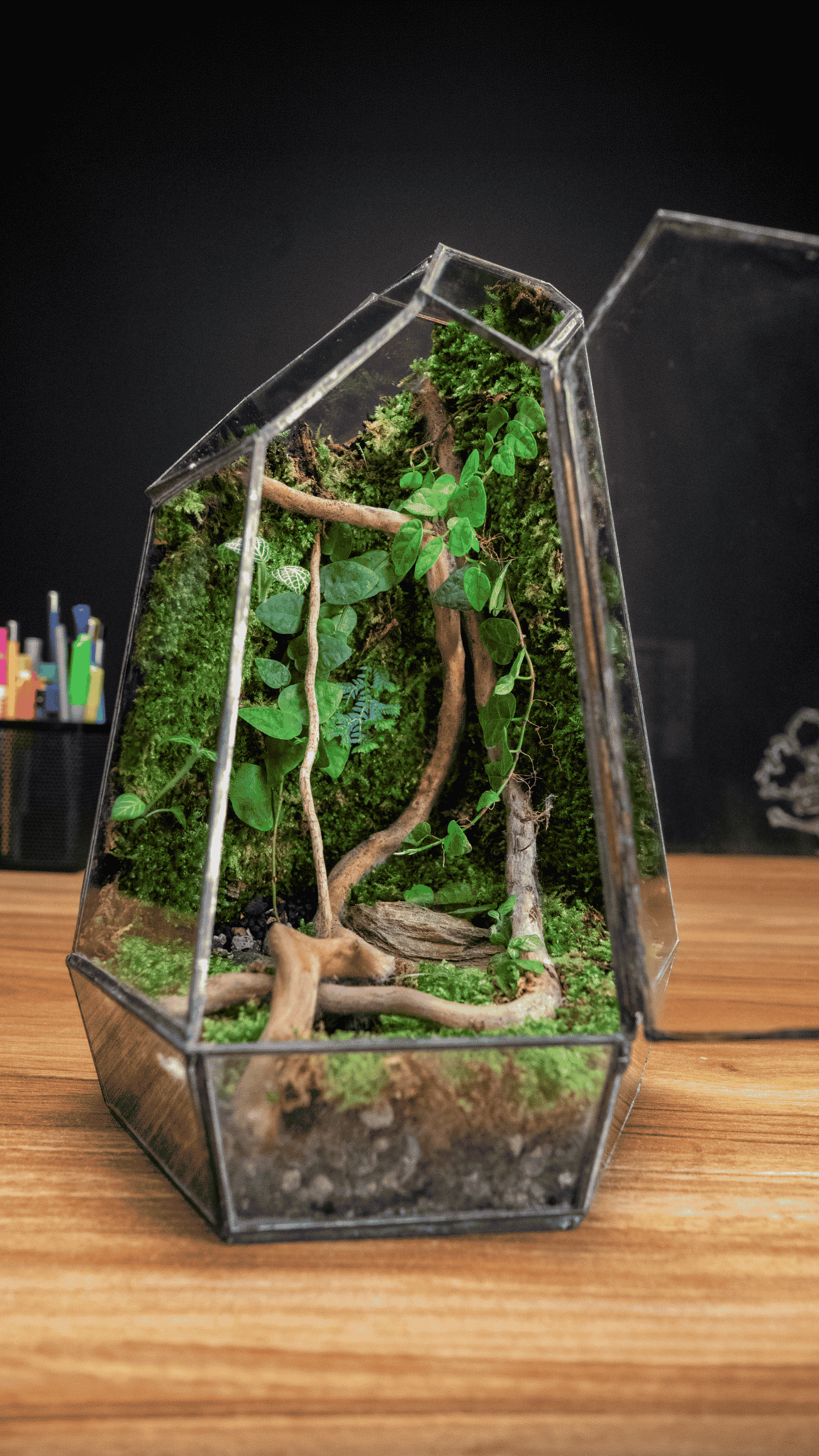 Geometric Moss Wall Terrarium